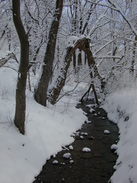 A Winters Stream