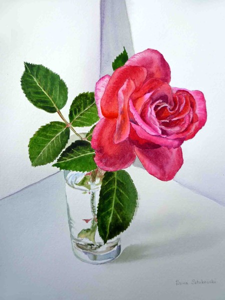 Pink Rose in the Glass
