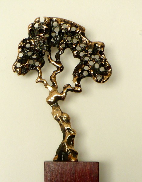 cara 1-cuji-bronce-omar anzola- P1130257 - copia