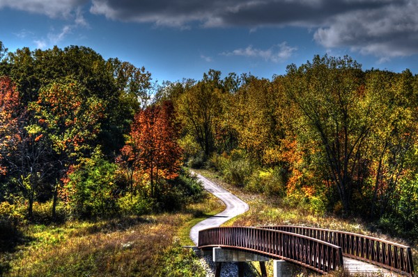 Fall at Raceway Woods