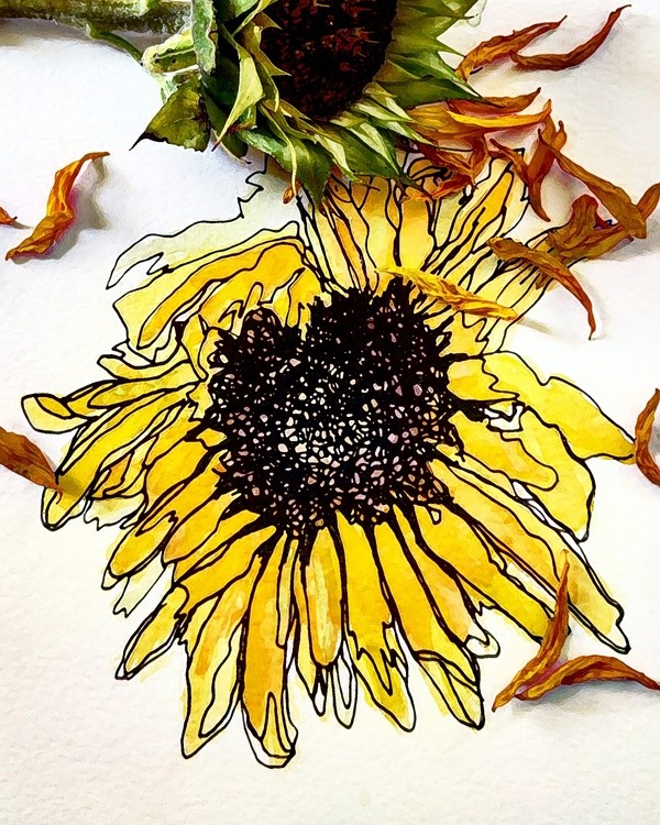 Sunflower Still Life Original Watercolor Painting with Digital Dry Brush Finish