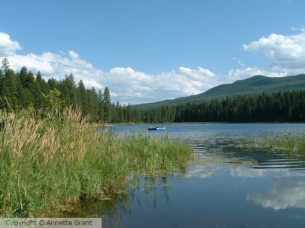 Lazy Day at Loon Lake