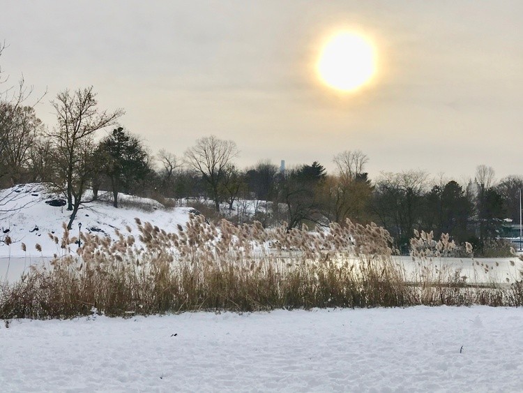 Sunset in the Park