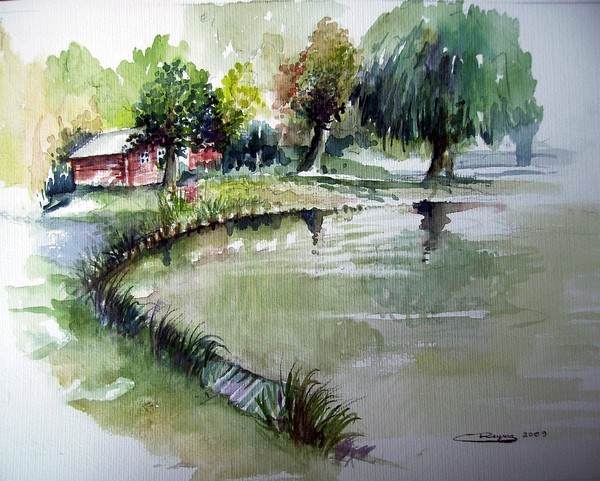 Sketch pond (Grotenberge-Belgium)
