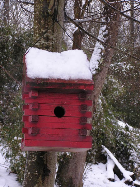 Snowy Birdhouse