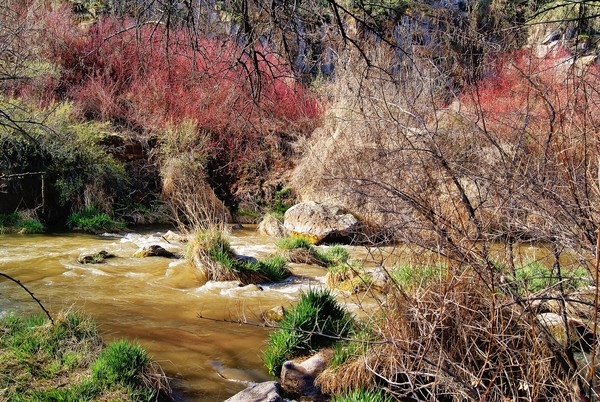 Rock Creek Mini Rapids