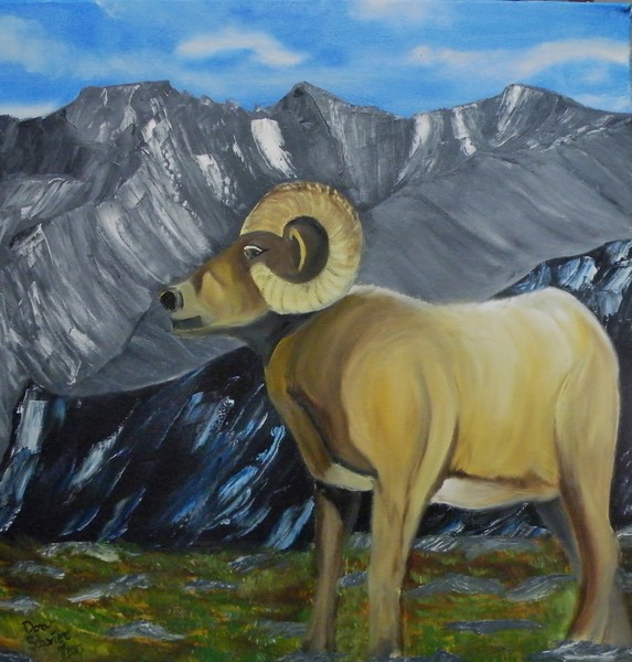 Big Horn Goat in Rocky Mtn. Part