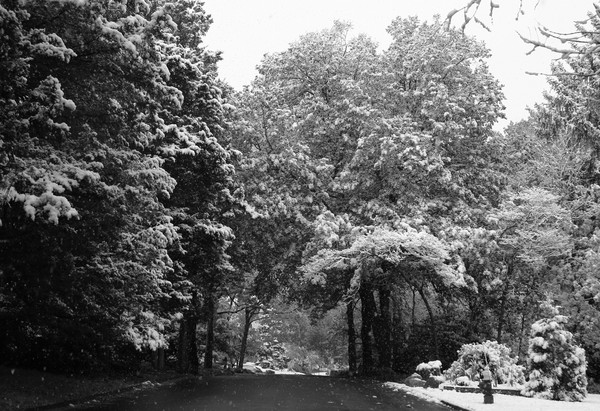 Snow in Mahwah Monday before Thanksgiving 2007