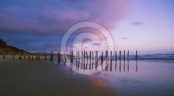 St Kilda Beach Dunedin