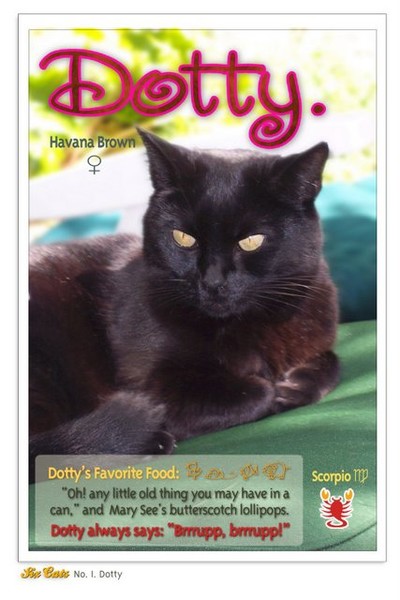 Dotty's Trading Card