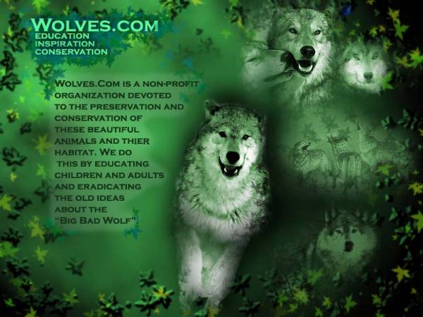Wolves.com