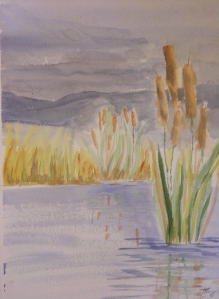 Cattails on a Pond