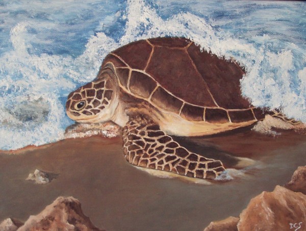 sea turtle in surf SOLD