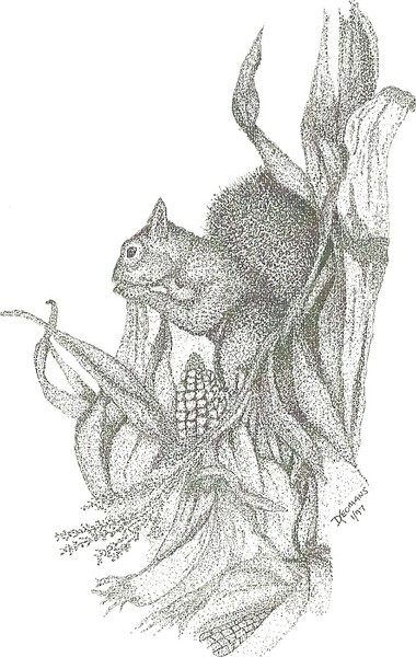 Squirrel Eating Corn, Pointillism