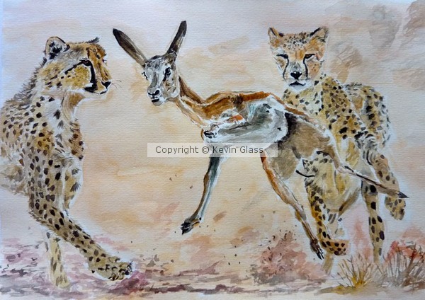 Cheetah - Watercolour