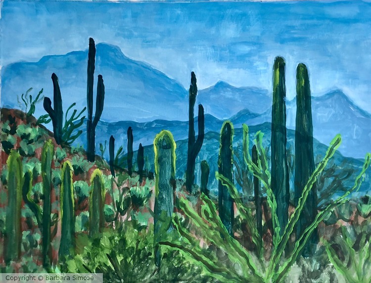 Just South of the Sonoran Desert Museum