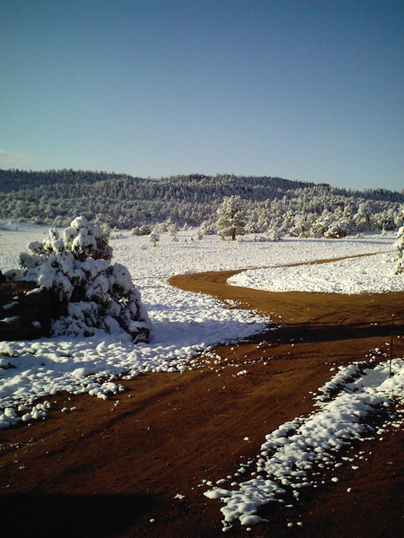 Out The Front Door