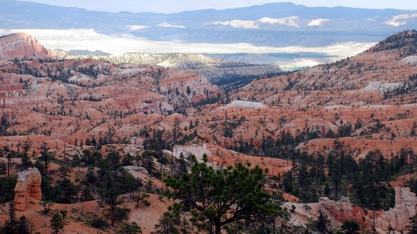 Bryce Canyon overlook 001