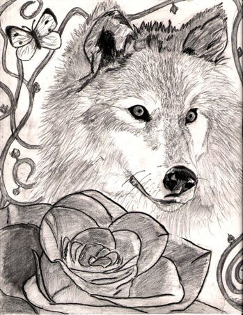 Wolf and Rose 