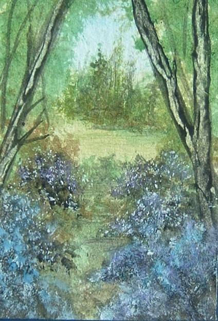aceo bluebell wood