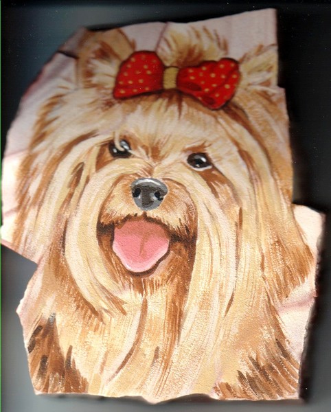 'Missy Yorkie'