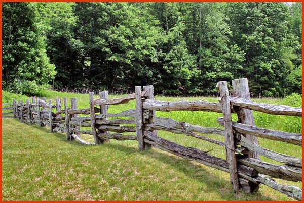 OLD RAIL FENCE