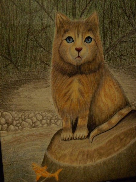 roberts artwork-cat on rock