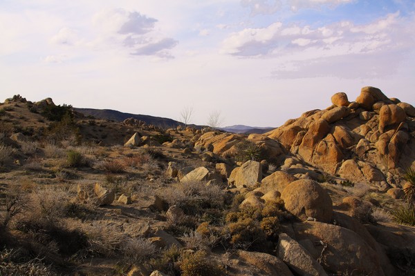 Rocky Outcrop Yucca Valley