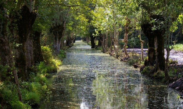 The Marias Poiteven France