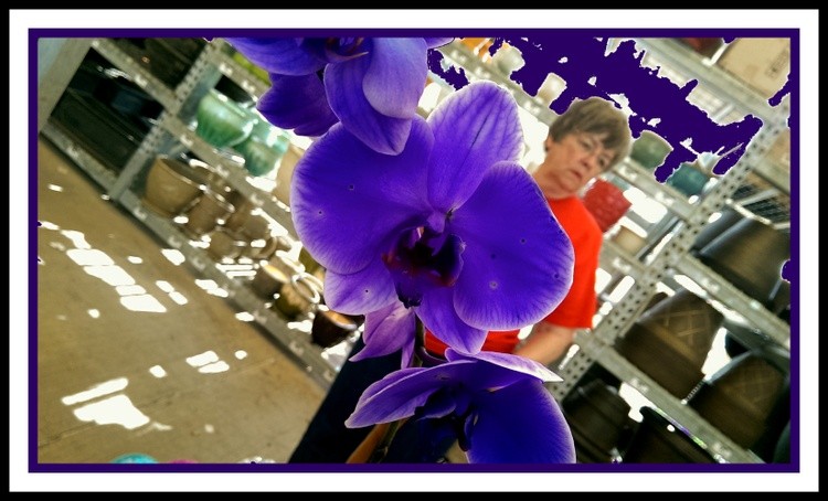 Mom and Purple Orchids
