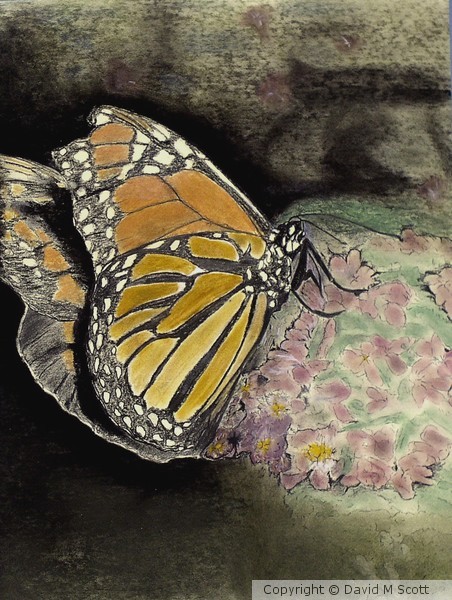 Monarch Butterfly in Minerals