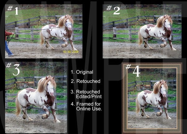 Photo Retouching Horse Scene