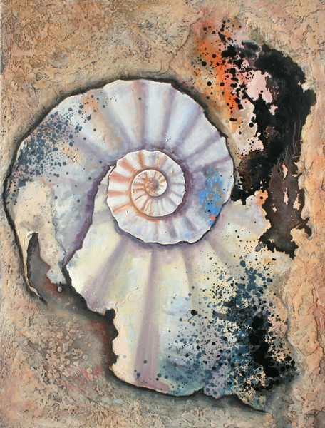 Broken Ammonite Detail # 3