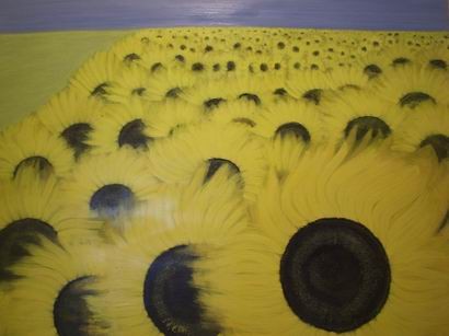 Sunflower field 3
