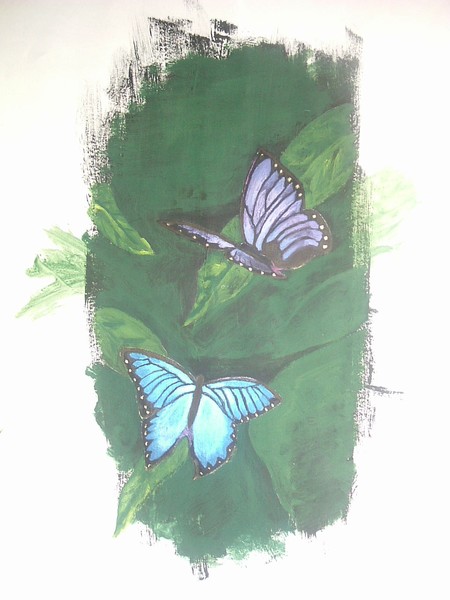 Butterfly's