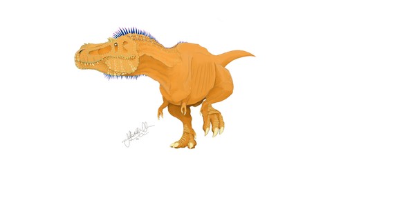 Gorgosaurus