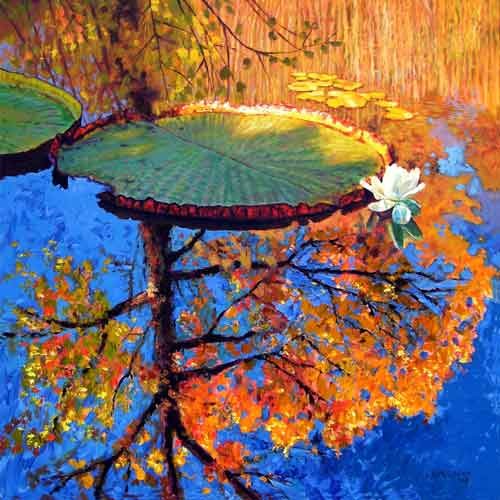 Colors of Fall on the Lily Pond