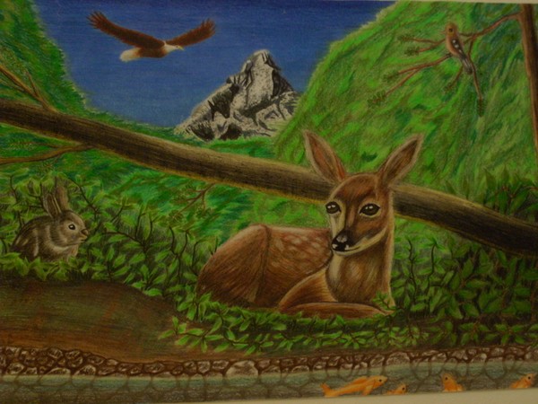 roberts artwork-deer in forest