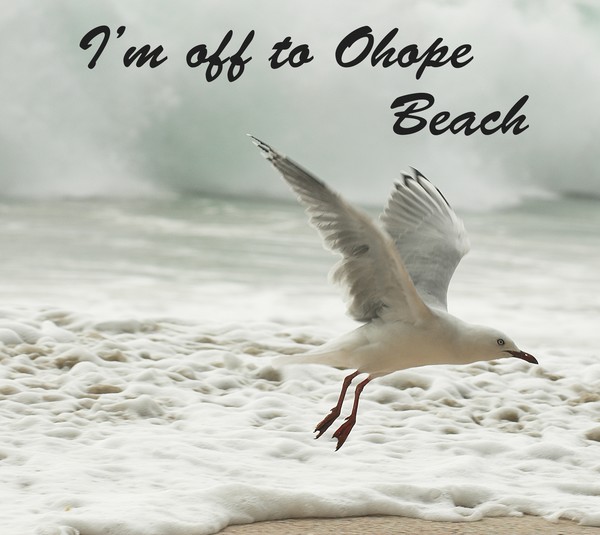 I'm off to Ohope Beach