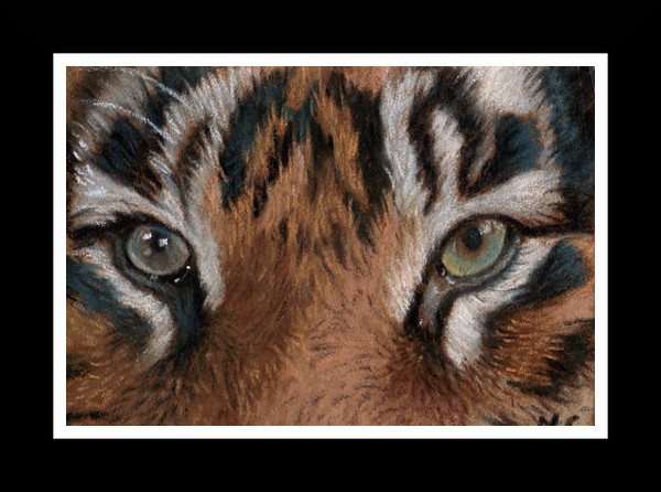 NC ART ACEO orig pastel tiger face