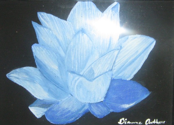 Blue Lotus Flower