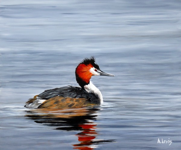 Great Crested Grebe