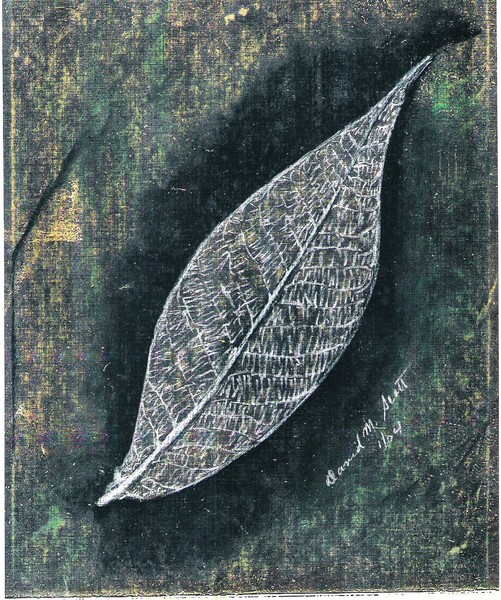 Ghost of Minerals in a form of a leaf