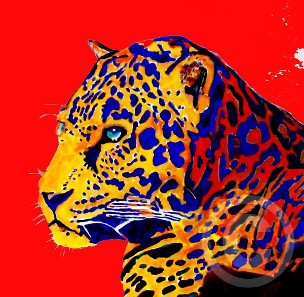 jaguar red 48 x 48 acrylic 4 12 fin
