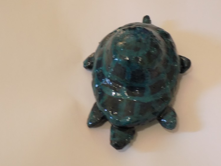 Aqua Green Turtle