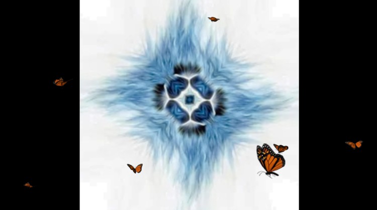 Butterfly Portal 1