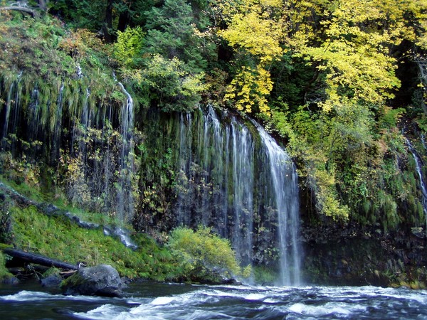 Autumn at Mossbrae Falls