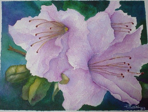 Violet Garden Flower
