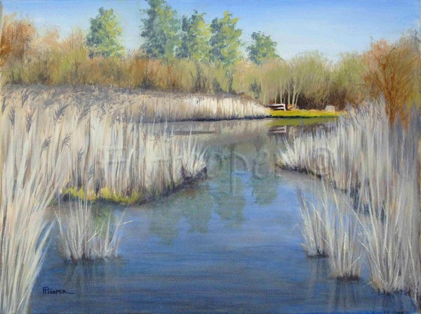 Reed Beds, Early Spring