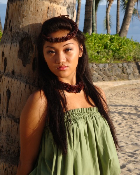 Beautiful Hula Dancer